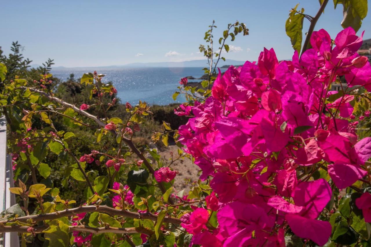 Sea View Villa 2 Skala  Buitenkant foto